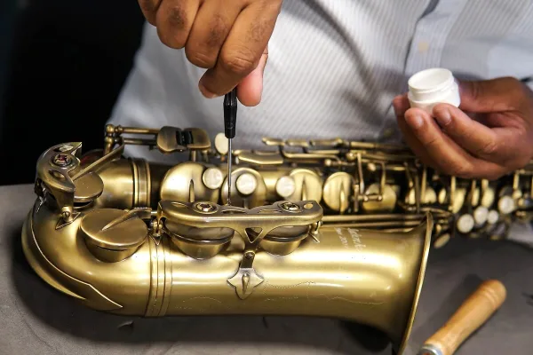 Trumpet Case