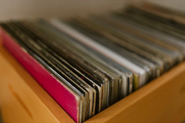 Vinyl Storage