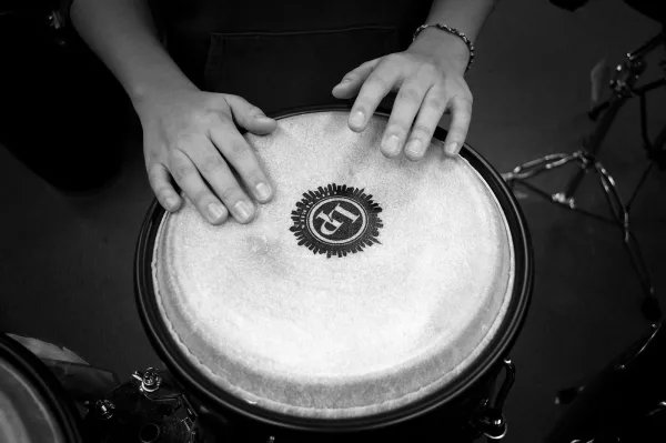 Steel Drums Instrument