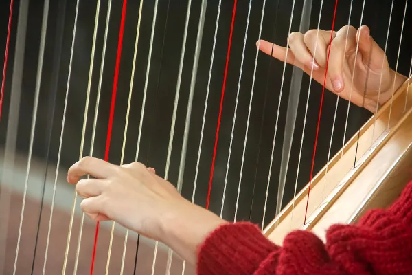 Harp