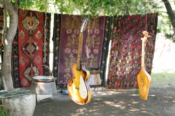 Mandolin Music Instrument