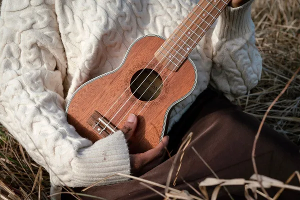 Ukulele Strings