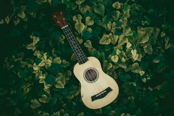Ukulele Tunes with Chords