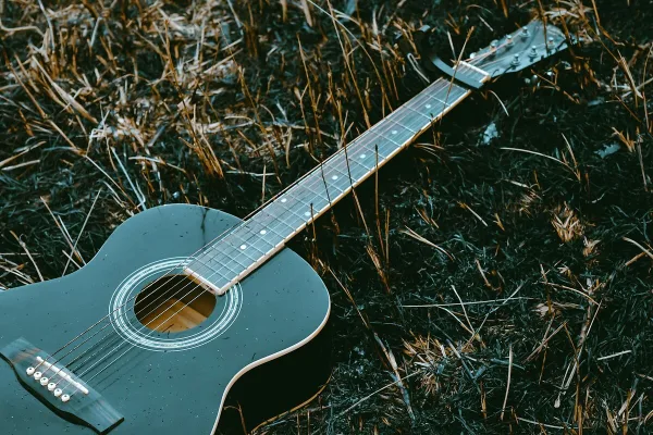 Left Acoustic Guitar