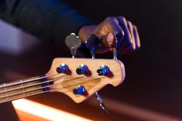 Strymon Delay Pedal