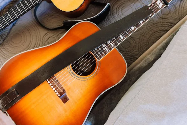 12 String Strings