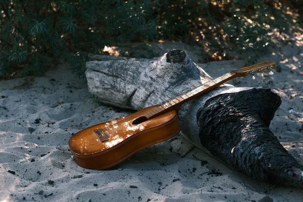 Mustang Bass Guitar