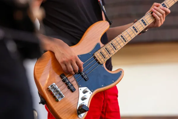 Electric Guitar Hardware