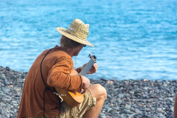 Electro Acoustic Guitar Fender