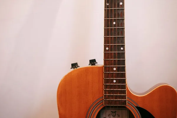 Taylor 12 String