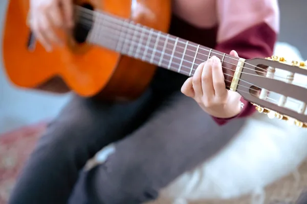 Ibanez Guitar Acoustic Electric