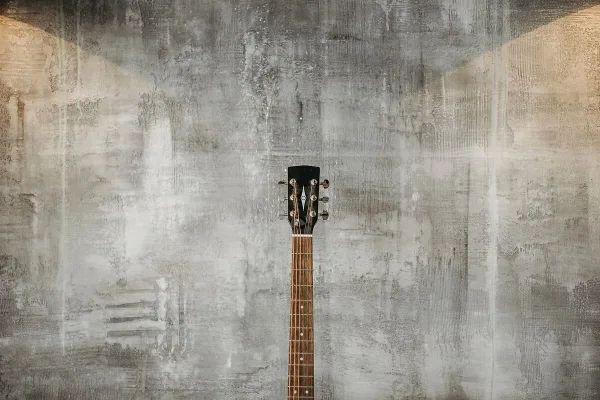 Jackson Guitars Guitar