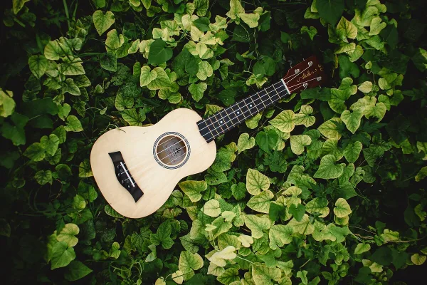 Guitar Note Tuner