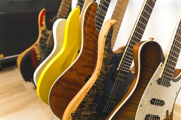 Bass Guitar Peavey