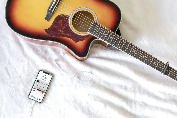 Fender Guitar Pickup