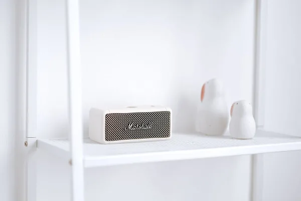 Bass Speaker Amplifier