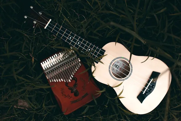 Guitar Tuner Clip