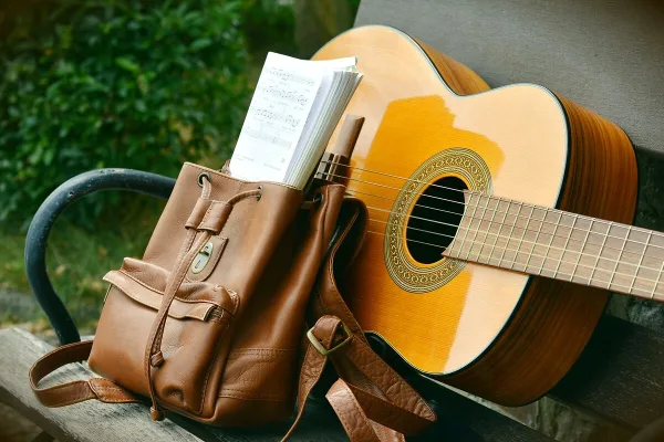 Electric Bass Gig Bag