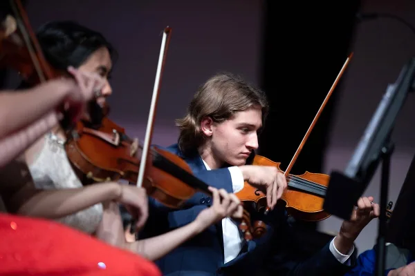 Bass Cello