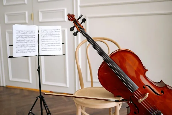 Electric Double Bass