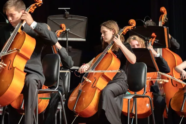 String Instruments Double Bass