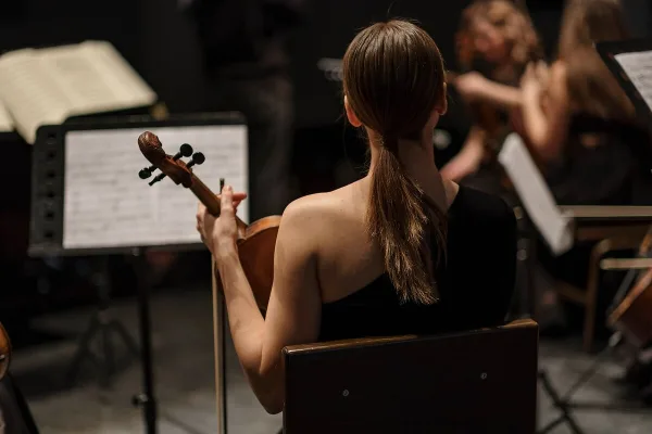 Viola Bow
