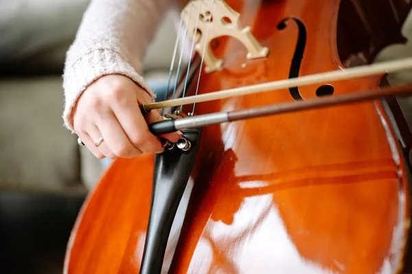 Instrument Viola