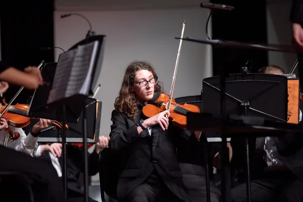 String Instruments Viola