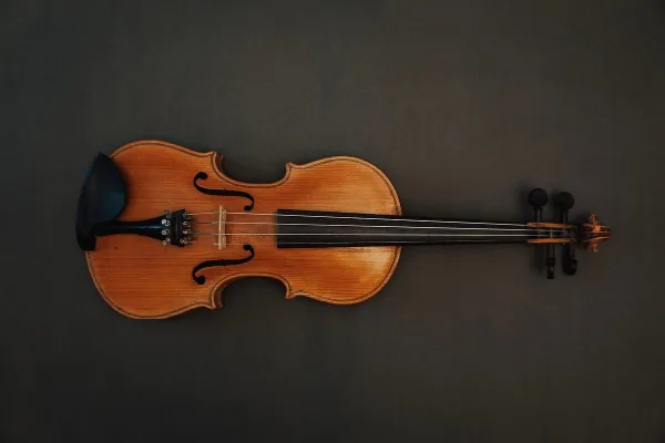 Bridge Violin