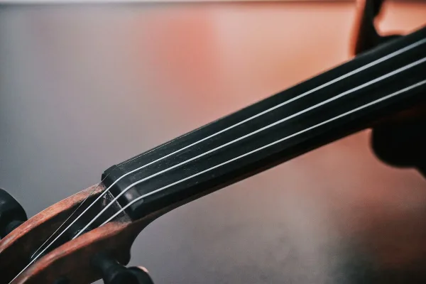 Violin Strings