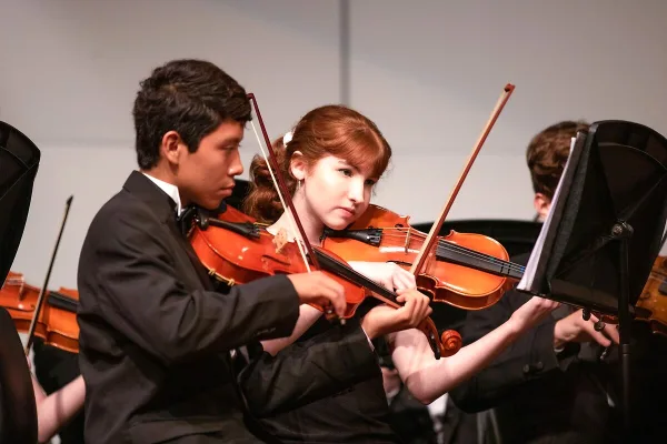 Violin Left Handed