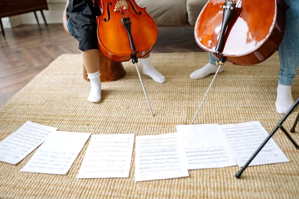 Violin Measurements