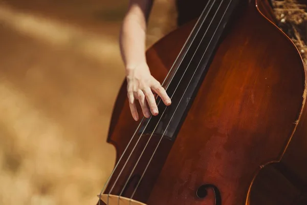 Violin Rates