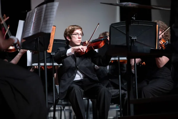 Large Violin