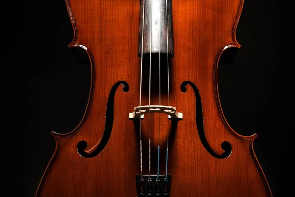 Violin String Instrument