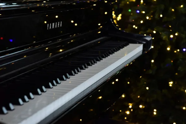 Keyboard Instrument