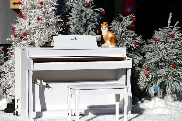 Music Keyboard Covers