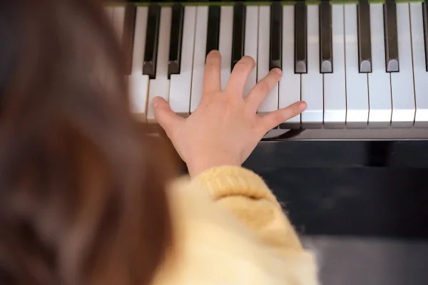 Roland Stage Pianos