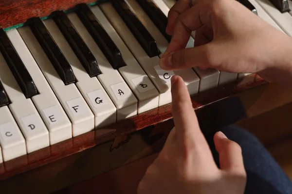 Organ Instrument for Sale