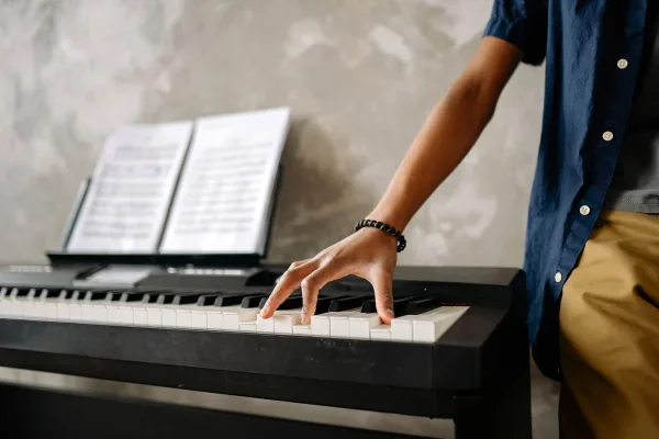 Analogue Synthesizer