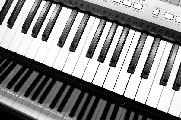 Yamaha P225