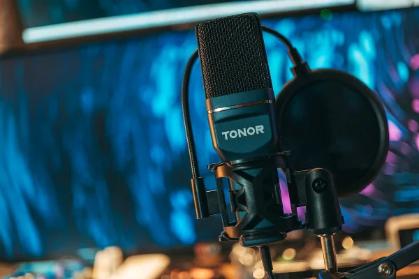 Neumann Microphone