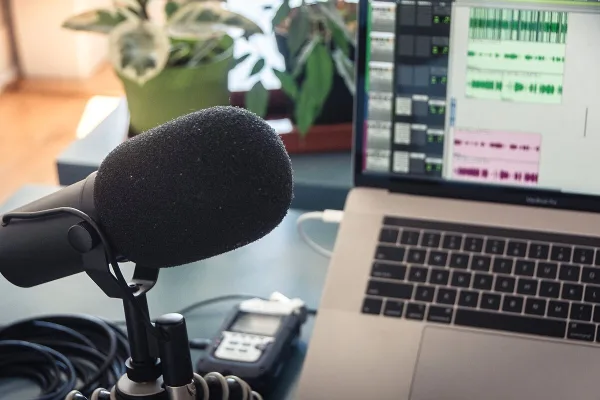 Se Electronics Microphone