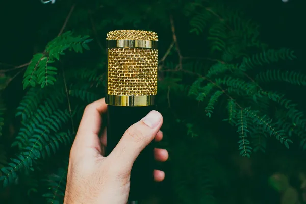 Sennheiser Wireless