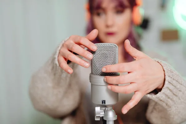 Stereo Microphone