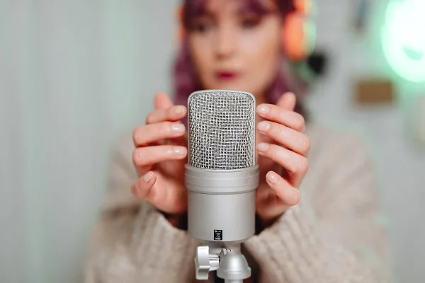 Warm Audio Microphone