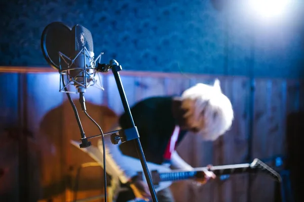Mic Boom Arm