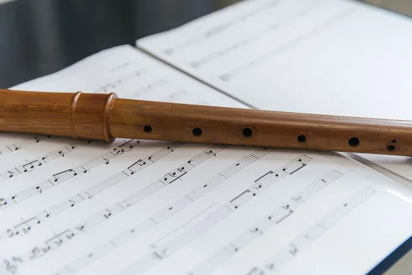 Recorder Instrument