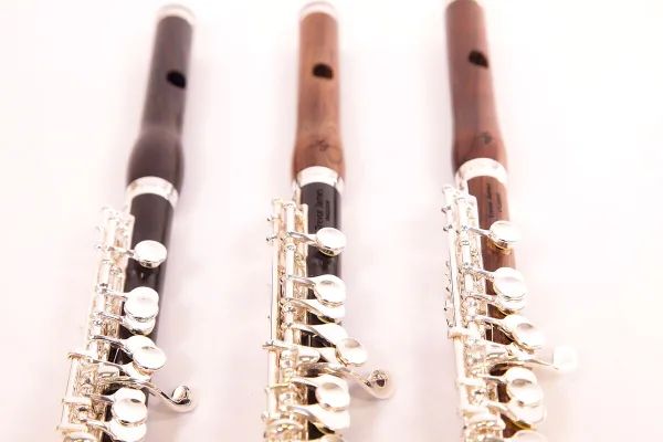 Tin Whistle Finger Chart
