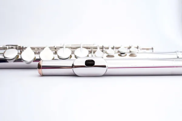 Reed Mouthpiece